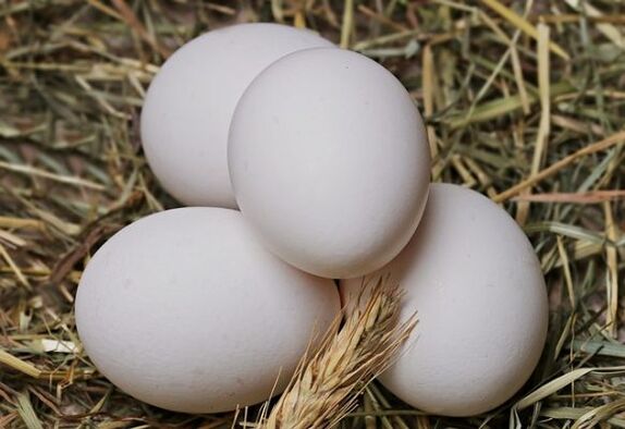 A dieta do ovo envolve comer ovos de galinha todos os dias. 